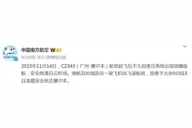 突然返航！南航回应图片