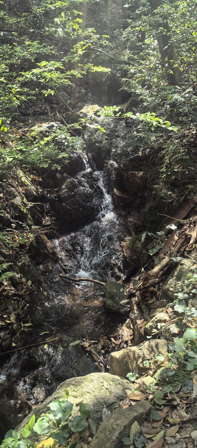 绍兴梅坞古道一条 对新手小白特别友好的线路