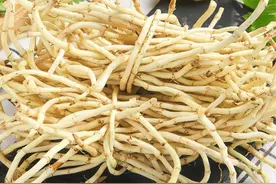 医学研究：常吃折耳根患肝癌风险上升40%？是真的吗？一文告知图片