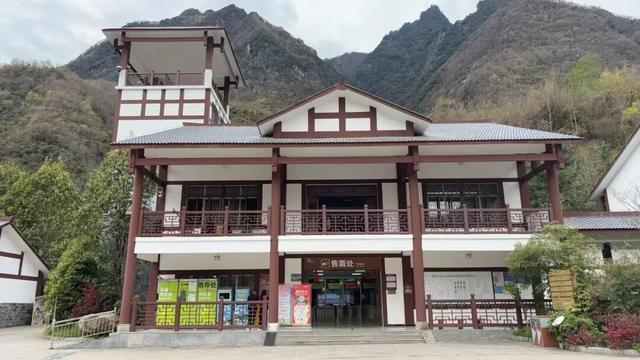 徒步阴平古道，艳遇紫荆繁花｜千年古道万亩紫荆待君来