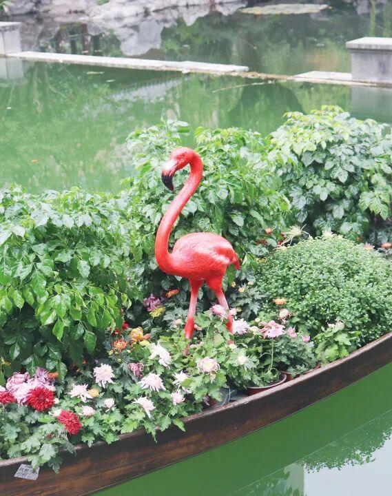 不愧是顶流！一大早就红了，人挤人持续好多天！萧山人家门口也有······