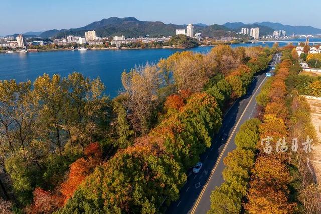 抓紧打卡！富阳人家门口的宝藏美景，错过要等明年！