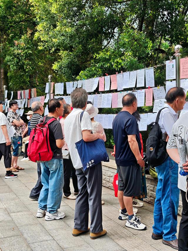 广州市中心藏着一个森林氧吧！散步躺平一下午，治愈到不想回家