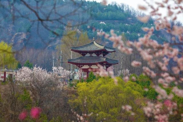 超全！陕西各地春日花海赴约指南