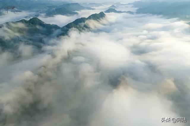 太子尖终于着火了，从前几年变得臭哄哄开始，一切都是必然