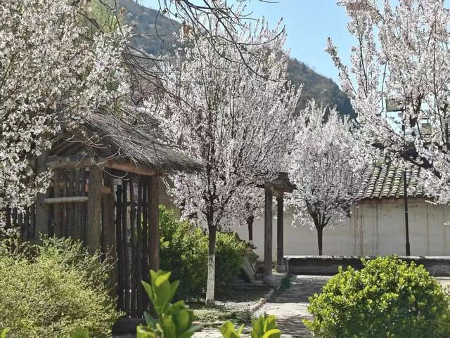 徽县麻沿河镇：暮春盛景惹人醉