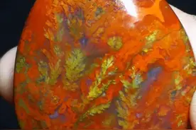 天价玛瑙奇石，色彩绚烂奇幻，令人大开眼界图片