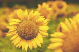 高情商劝人节哀短句图片