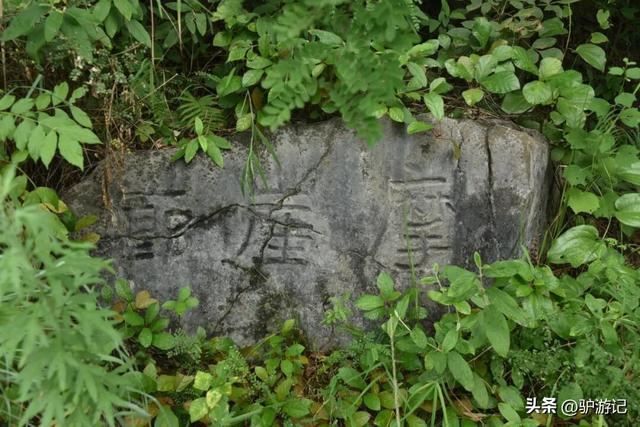 红崖天书，黄果树旁边的免费小众景点，千百年来身世成谜！