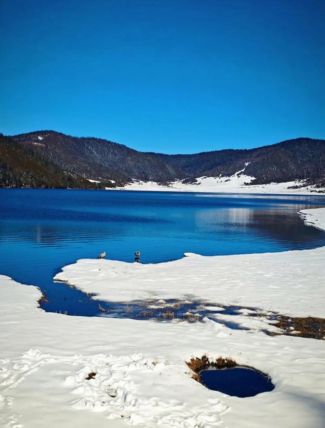 反向操作真香！冬季避开人潮的云南小众玩法，人少景美还省钱