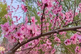 极简生活：被荨麻疹打乱了生活的脚步，记录治病五天的花费是多少图片