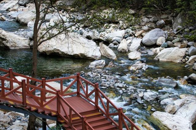 广元不远 周末优选 | 又是紫荆又是奖牌的，唐家河你成功引起了我的注意！