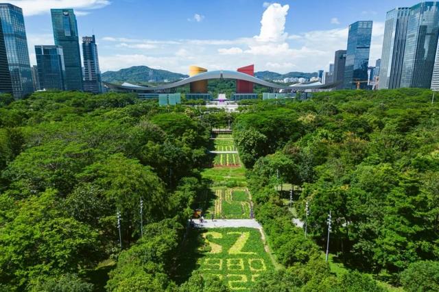 市民花田，送给深圳45岁的生日礼物！