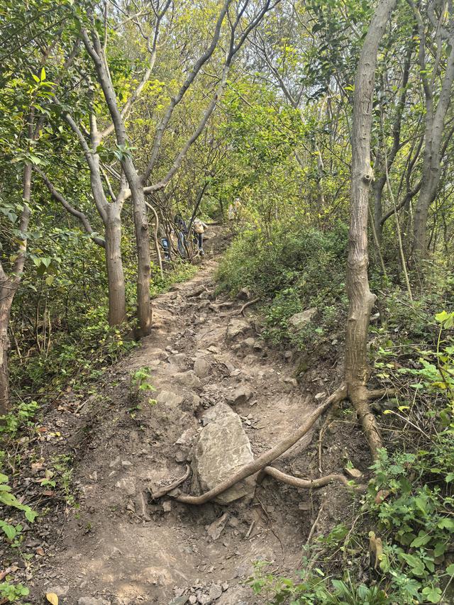 南京幕府山郊野徒步
