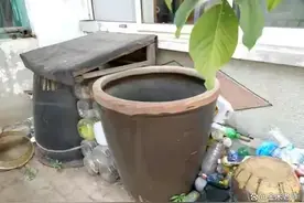 老话“院中不能放水缸”，为啥这样说？图片