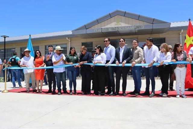 不知死活！又一小国想介入台海局势，扬言要断交中国与台“复交	”