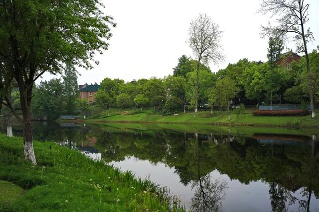 富阳这里太美了！不少人前来骑行、踏青野餐