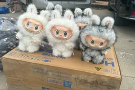 衡水枣强县大营镇以皮毛闻名的镇子最近成了盗版LABUBU的集散地！图片