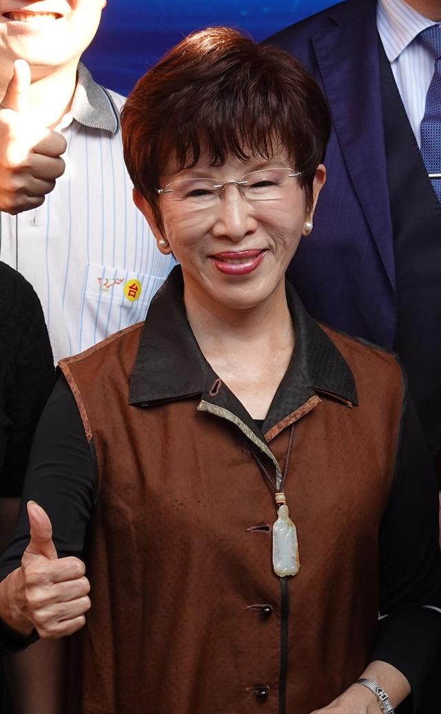 看完阅兵返台后，洪秀柱将有麻烦，吴子嘉断言：赖清德定会起诉她