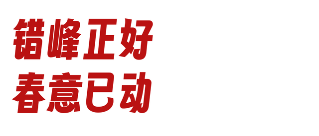假期结束，年味未减，错峰游乌镇体验最佳！