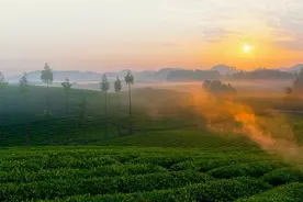 中国茶海·2025遵义湄潭半程马拉松赛定档4.20！图片