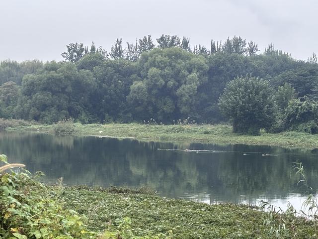 深度 | 温榆河公园：打造首都最大“城市绿肺”