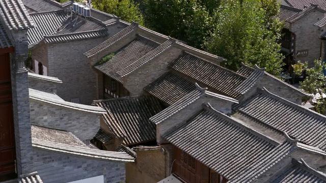 昆明冬日氛围感拉满！跟着香港明星足球队，解锁翠湖海鸥+梧桐黄墙的浪漫剧本