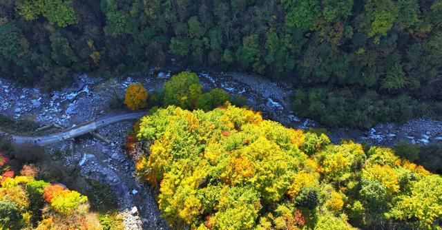 看满山红叶来这里，离广元2仅小时，3条线路任你玩，人少景美！