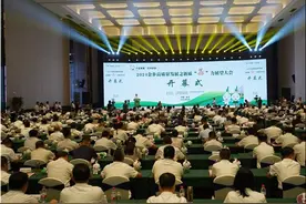 济宁市金乡县加快推进大蒜产业提档升级图片