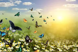 周公解梦:梦到这4种场景,预示着贵人将至,好运不断,财富涌动！图片