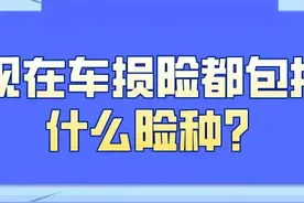 买了车的第二年，应该购买什么保险呢？图片