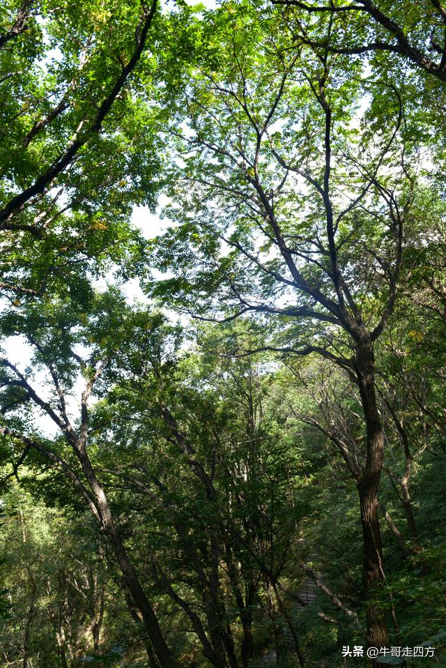 河北百草畔（中）：览尽三山舒望眼，行穿百草浣尘襟