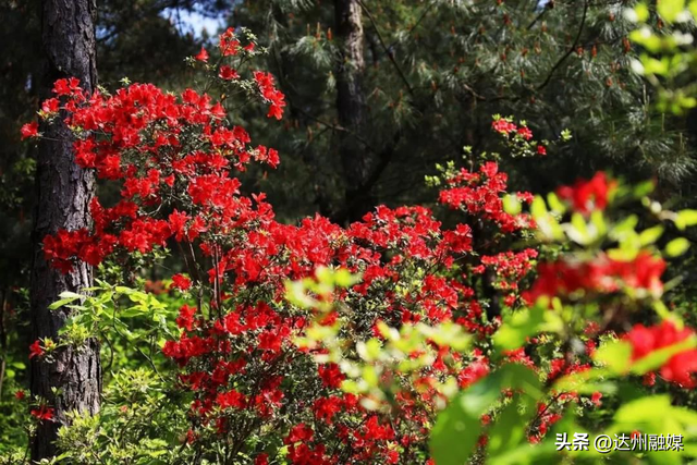 十二月的宣汉，你未曾遇见的冬日秘境专属体验卡限时来袭!