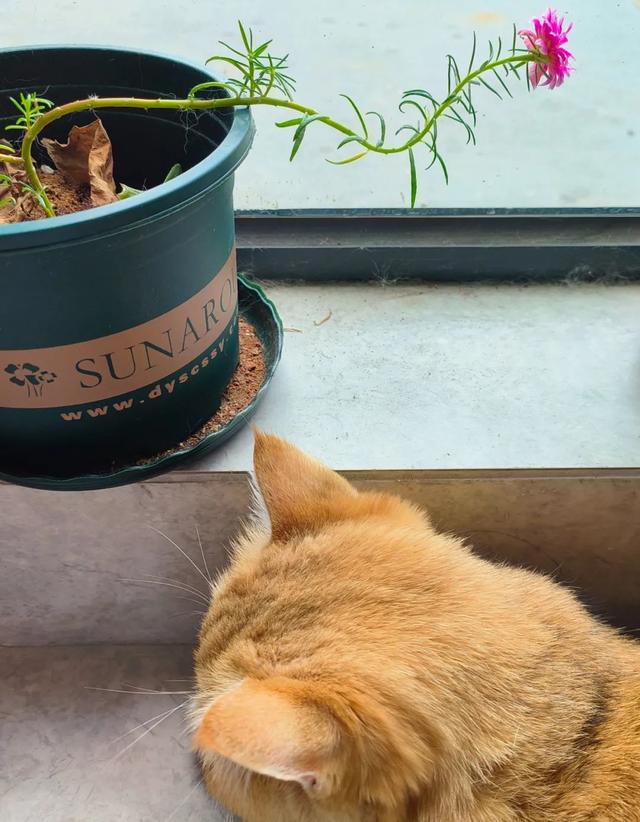6月，谁说天空一无所有？(下)
