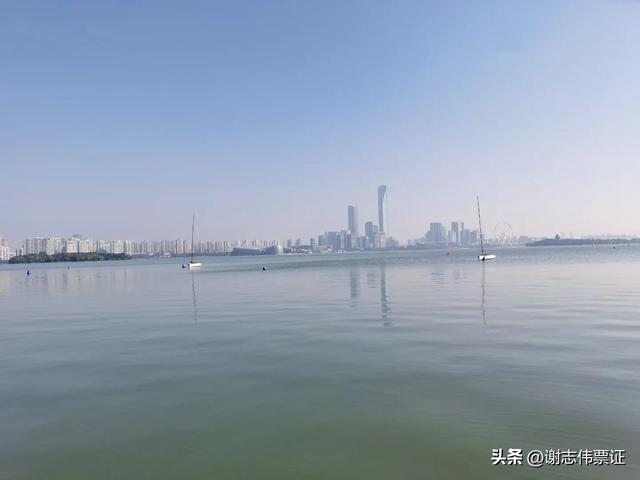 借会见邻居之机,再游金鸡湖