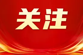 台湾艺术家沪漂记：上海有着吸引各种追梦者的魅力图片