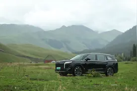 红旗HS7 PHEV，咱老百姓自己的礼宾车图片