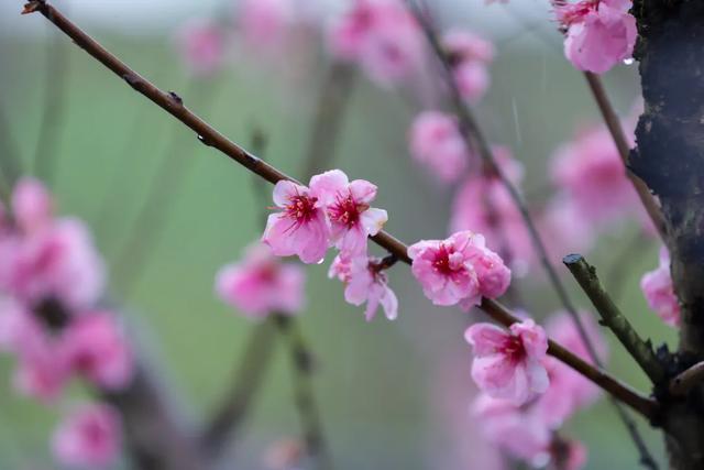 保质期不长，请尽快享用！