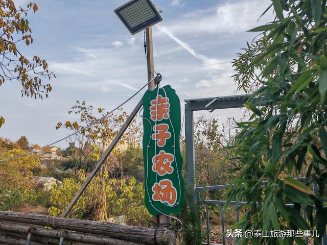 泰安：城东环山路北藏着一个农家乐，竹林蹊径，碧水环绕