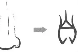 从甲骨文探秘：“自”到“鼻祖”的奇妙演变图片