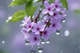 搭伙半年对方前妻回来，得知原因，我没生气反而跟他一起照顾前妻图片