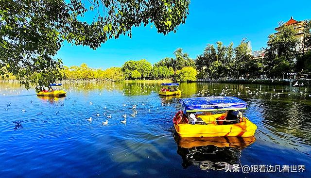 昆明蓝配翠湖银杏黄——藏着昆明最温柔的冬天