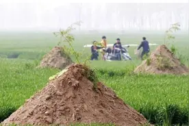 “新坟三年不立碑，立碑不出三代人”老祖宗的说法，立碑有啥讲究图片