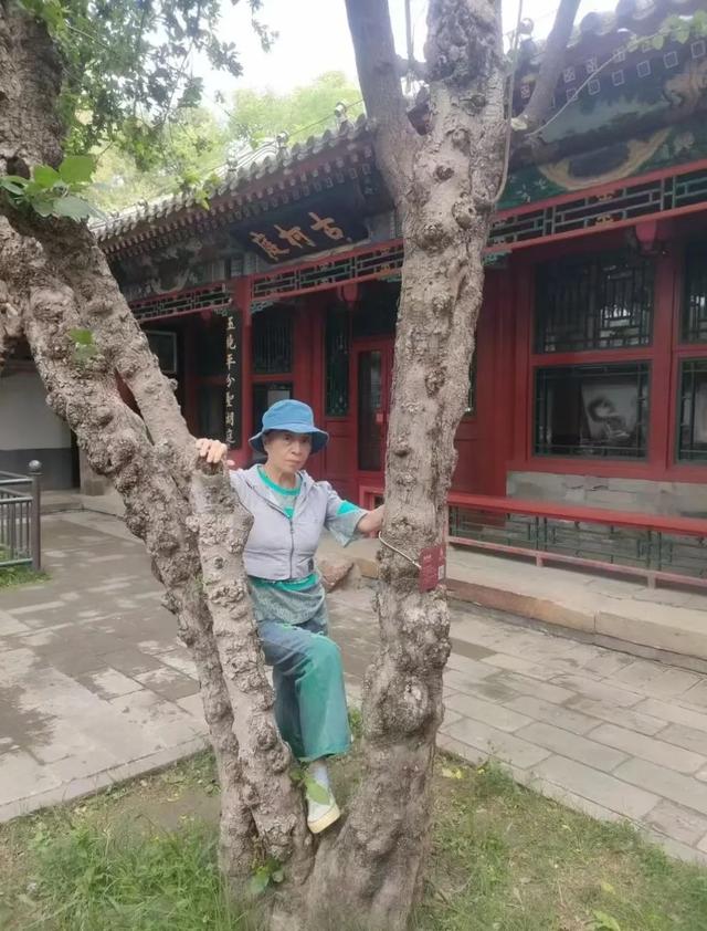 王林平随笔《雨来了》
