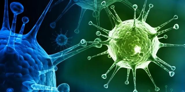 甲流死亡人数持续上涨？告诫：少吃白菜，多吃这几样，提高免疫