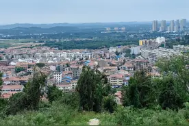 在武汉！我唯一想去无数次的森林公园！地铁公交直达，美哭！图片