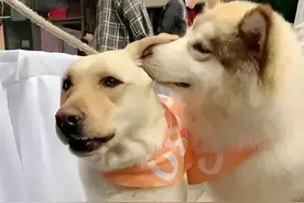 跑圈中的“江湖暗语”，你能听懂几个？据说只有跑步的人能听懂！图片