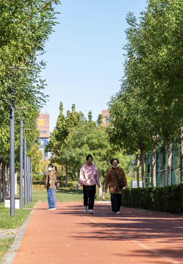 藏不住了！泰达这座神仙公园，让你忍不住“哇塞”！