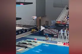 全红婵无懈可击的表现，让郭晶晶不停鼓掌，真是自古少年出英雄图片