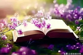 头条展现量：收益的敲门砖与转化密码你找到了吗图片